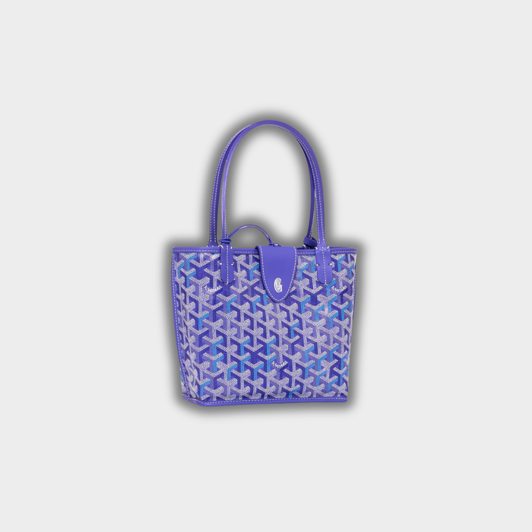Goyard Anjou Mini Bag multicoloured