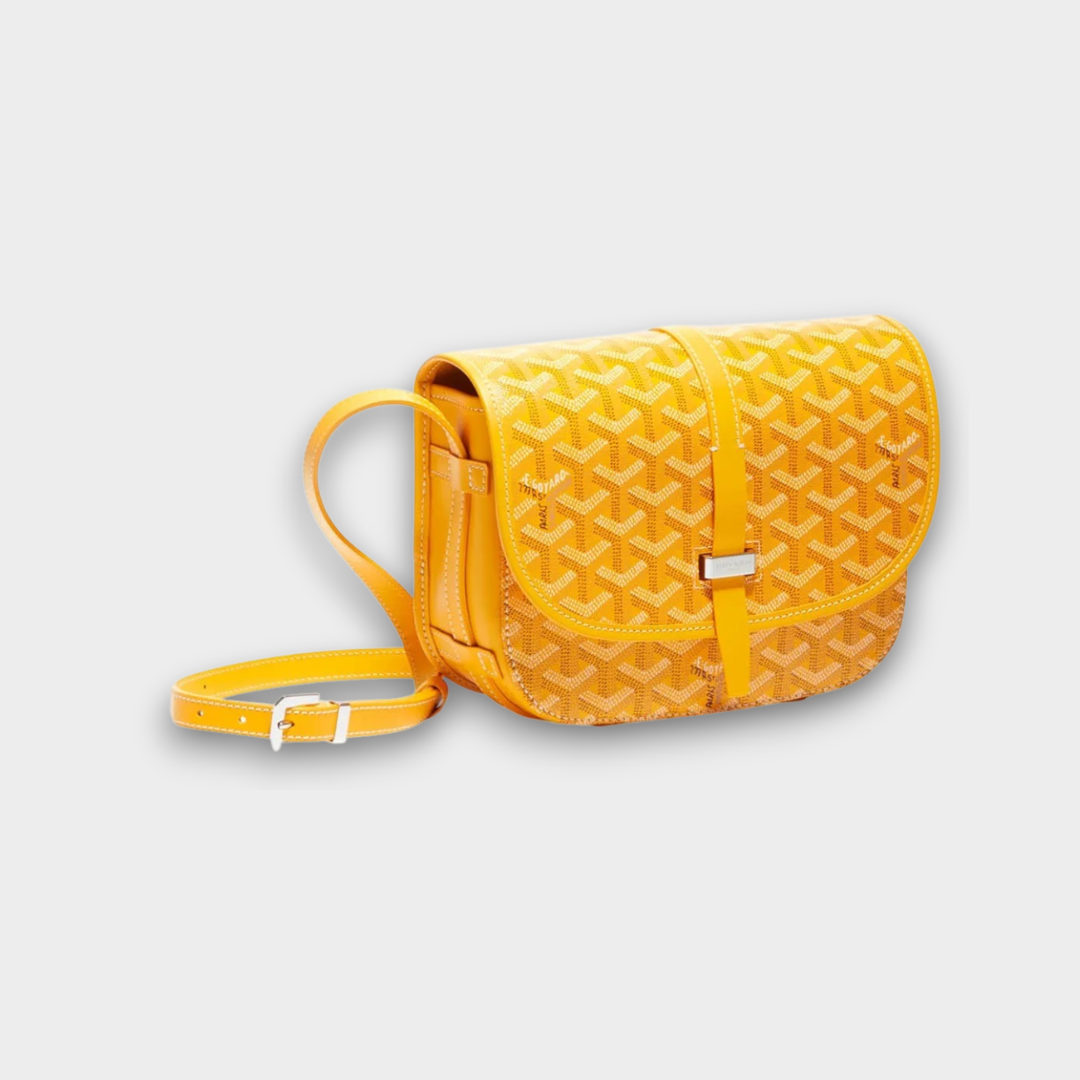 Goyard Belvedere MM Bag