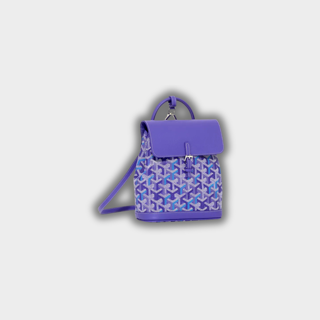 Goyard Alpin Mini backpack multicoloured