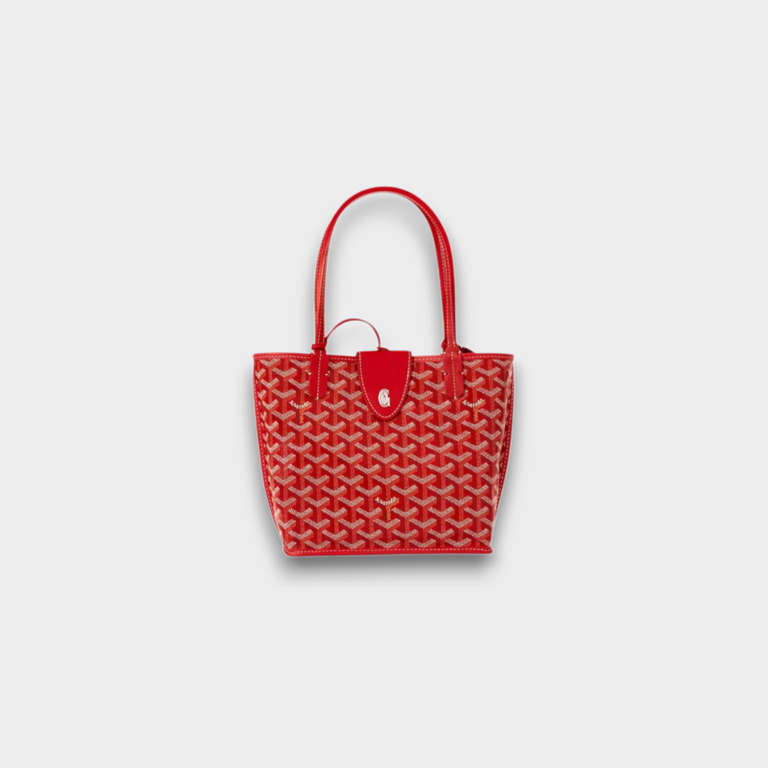Goyard Anjou Mini Bag