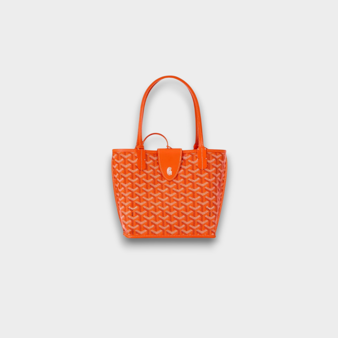Goyard Anjou Mini Bag
