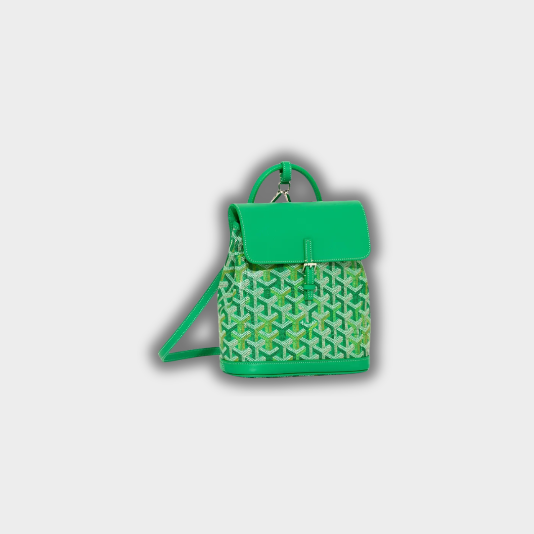 Goyard Alpin Mini backpack multicoloured