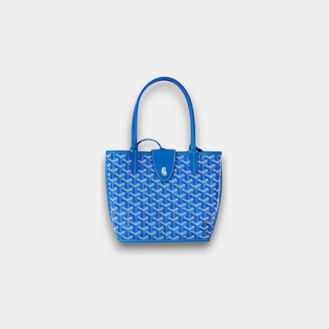 Goyard Anjou Mini Bag